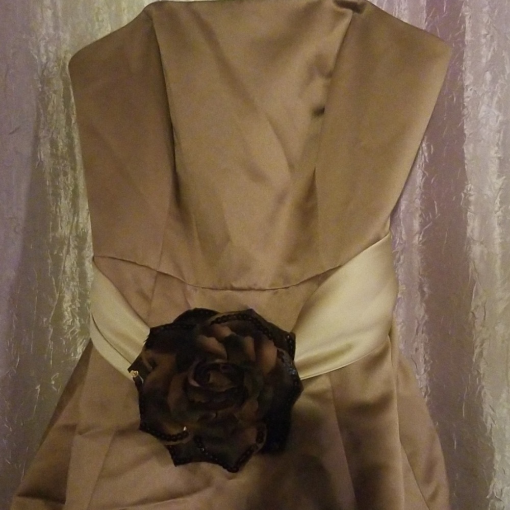 Dress - Picture 2 of 3